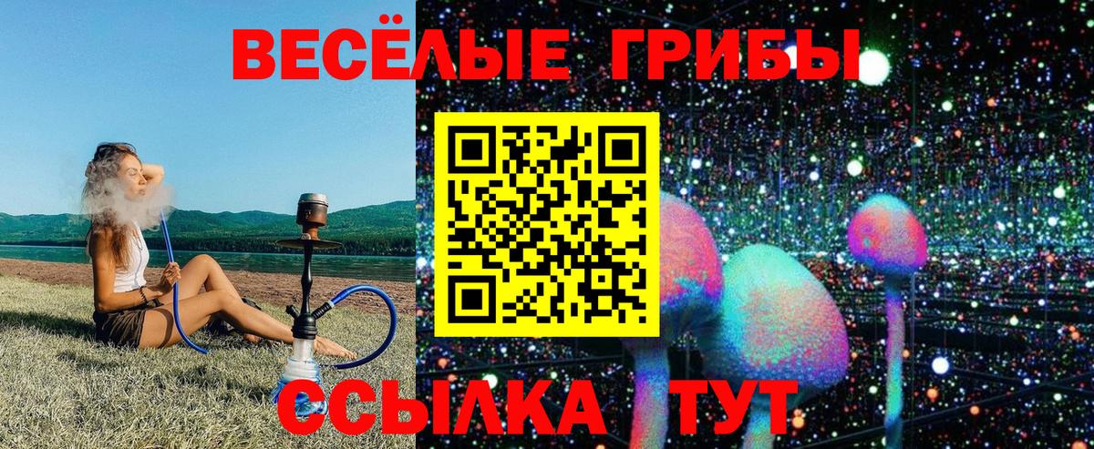 Псилоцибиновые грибы Cubensis Прокопьевск