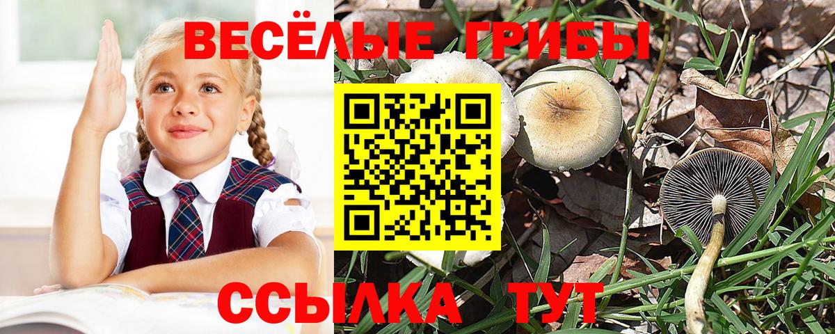 Галлюциногенные грибы ЛСД  Вход с VPN  Прокопьевск 